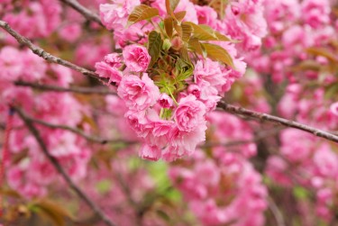 绍兴柯桥区6线下个人借款平台一站式服务，轻松解决资金难题