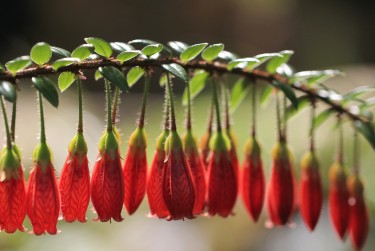 绍兴柯桥区6零用贷短借：轻松解决临时资金需求